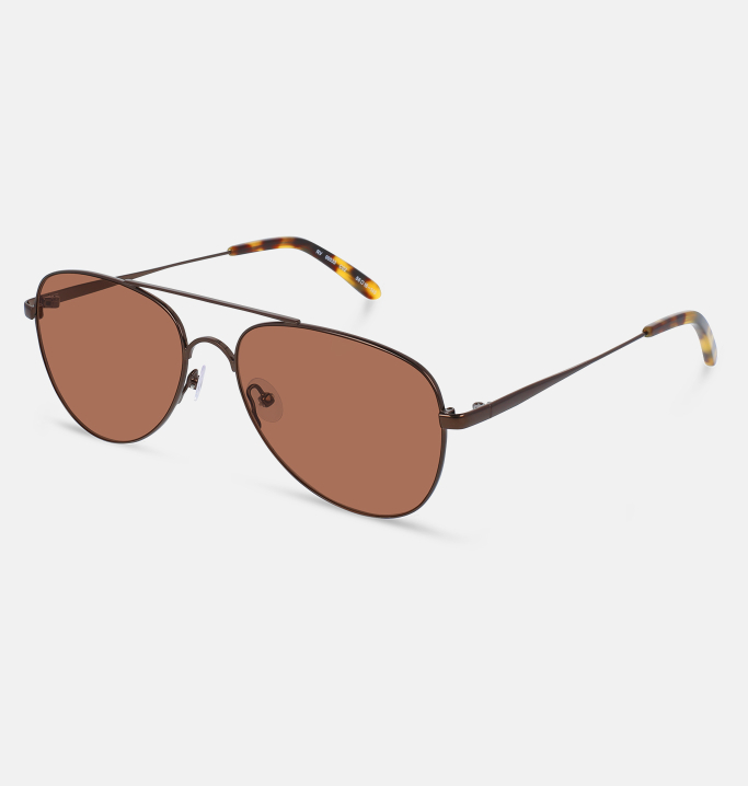 Lunettes de soleil Homme BRUN Dallas coté