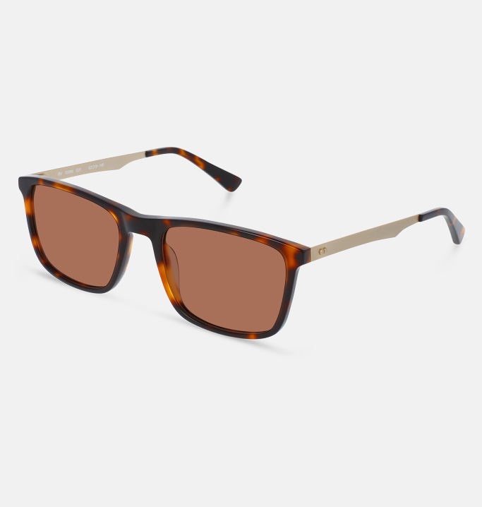 Lunettes de soleil Homme BRUN Berlin coté