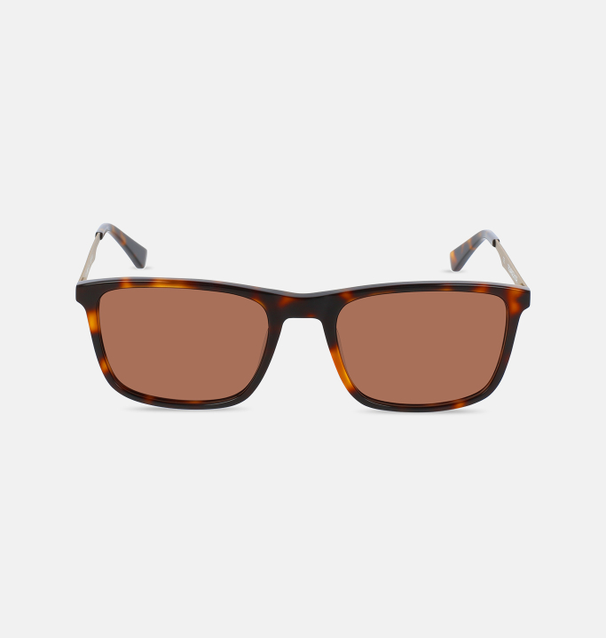 Lunettes de soleil Homme BRUN Berlin face