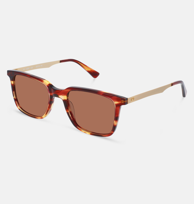 Lunettes de soleil Homme BRUN Denver coté