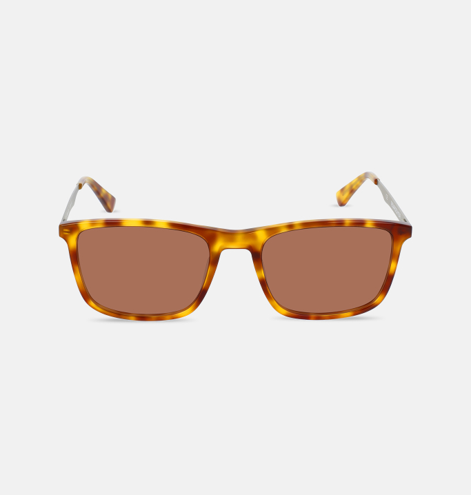 Lunettes de soleil Homme ECAILLE Berlin face
